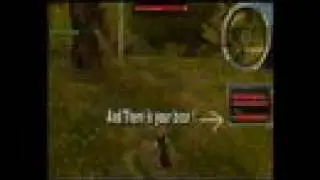 Guild Wars Bear Taming/Charming Guide for in Presearing