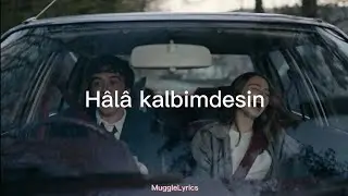 Rosa Linn - Snap (Türkçe Çeviri)