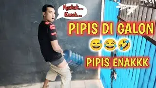 PIPIS DI GALON - PIPIS ENAK