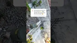 Gardening fun for the whole family