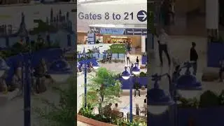 JFK Terminal 6