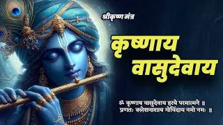 Krishna Mantra - Om Krishnaya Vasudevaya Haraye Paramatmane 108 Times | Bhakti Song | Krishna Bhajan