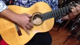 Ruck Flamenco Guitar 1970