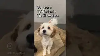 Quirks