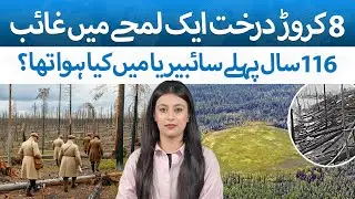 Tunguska Event | Unresolved Mystery | Siberia's 1908 Disaster | Blue diaries | #thebluetruth