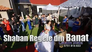 Shaban Regele din Banat - Papusea Barbie - Colaj Top Manele Live - Nunta Gyurika & Klaudia