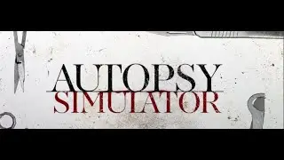 Autopsy Simulator