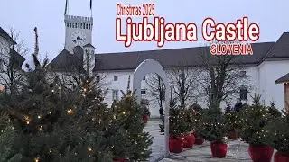Люблянский замок 2025 - СЛОВЕНИЯ