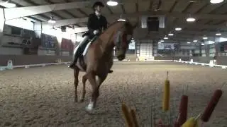 Dressage at Anderson Ranch February 2012