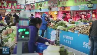 China makes efforts to deal with challenges in pig farming industry