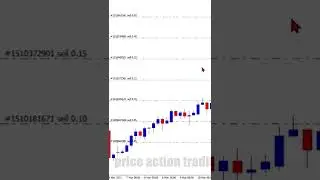 TEKNIK TRADING MARTINGALE DOUBLE DOWN LOSES
