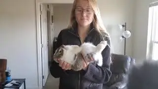 Rabbit Handling 101