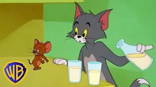 Tom and Jerry and Spike the Dog | Funny Cartoon for Kids