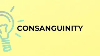 What is the meaning of the word CONSANGUINITY?