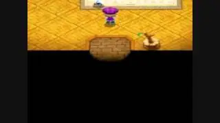 Harvest Moon Tale of Two Towns: Pregnancy and Birth event with Cam