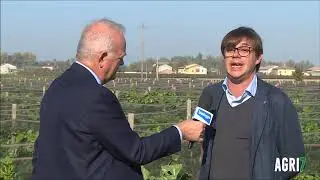 Agri7 Azienda Agricola La Cippaia
