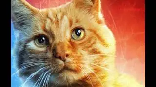 Captain Marvel: Goose The Cat