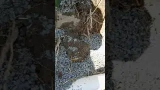 Main Sewer Line Replacement