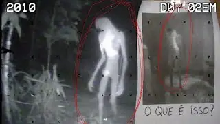 O Demônio Carniceiro da Mata do Xingu: Dois Irmãos Rastreados e Caçados por 16 Noites