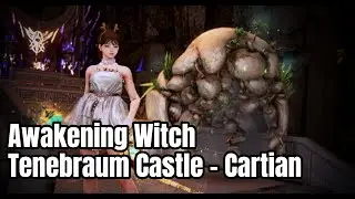 黑色沙漠 覺醒女巫 特內布拉烏姆城 卡勒堤安｜BDO Awakening Witch Tenebraum Castle Cartian｜AP 390 DP 450
