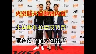 史密斯夫婦離婚內幕！朱莉曝布拉德皮特曾厭棄養子而大發雷霆