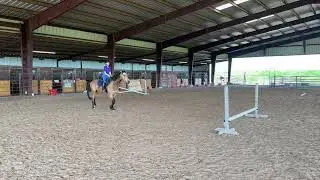 Cambrey & Armani- Bridleless Jumping Pattern 1