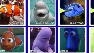 Finding Dory Animals in Real Life | Pixar Characters vs Real life Facts