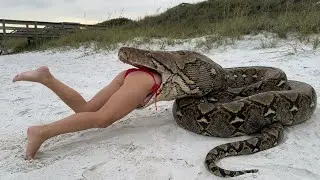 Rescuing a young girl being swallowed whole by a giant python.
