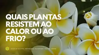 QUAIS PLANTAS RESISTEM ao CALOR ou ao FRIO?