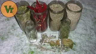 Comment sécher les plantes aromatiques en préservant leur valeur nutritionnelle