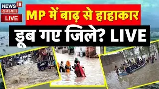 MP Flood LIVE Update : MP में बाढ़ से हाहाकार, डूब गये जिले? | Flood alert LIVE | Breaking News LIVE