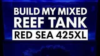 I Built the ULTIMATE Mixed Reef Tank | Red Sea 425XL Dream Setup!