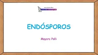 Endósporos bacterianos | Estrutura e Função