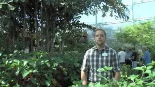 Reiman Gardens