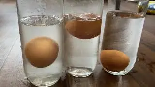 Floating Egg experiment for kids #shorts