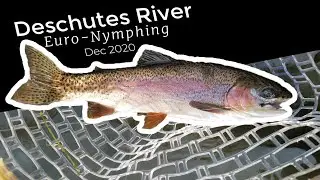 Deschutes Euro-nymph Fly Fishing with the Echo Shadow X - Dec 2020
