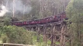 Amy, Miss Huang, Floria on Puffing Billy Train