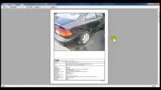 VeriPic Digital Evidence Manager - Print and Print Preview