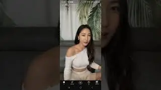 Model: Im Sogyo's YoutubeLive (241022) #1