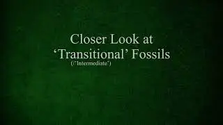 'Transitional'/'Intermediate' Fossils