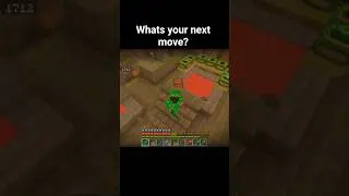 end portal glitch?