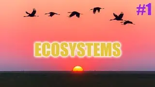 Ecosystems #1 - Definitions, Abiotic Factors and Symbiotic Relationships