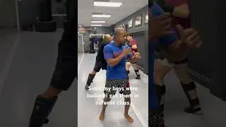 No more bullying my boys. They are in self defense mode.