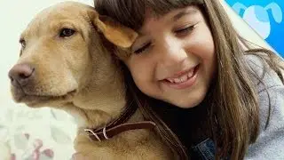 7 Reasons Your Kid Needs a Dog