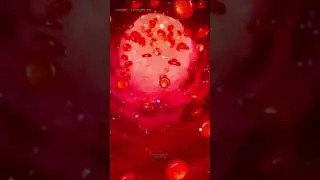How Tablet work in our Body?