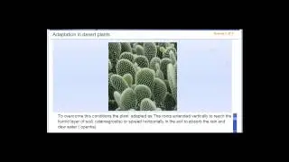 Adaptation in Desert Plants