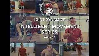 Joint Dynamics Intelligent Movement Series (V1)