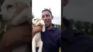 @BADSHAH0010🔥Menino Philip Costa Loves Animals...