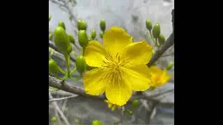 PC07 hầm