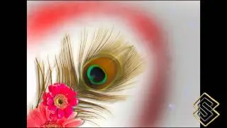 sriyaditha graphic universe  For peacock feather Animation.